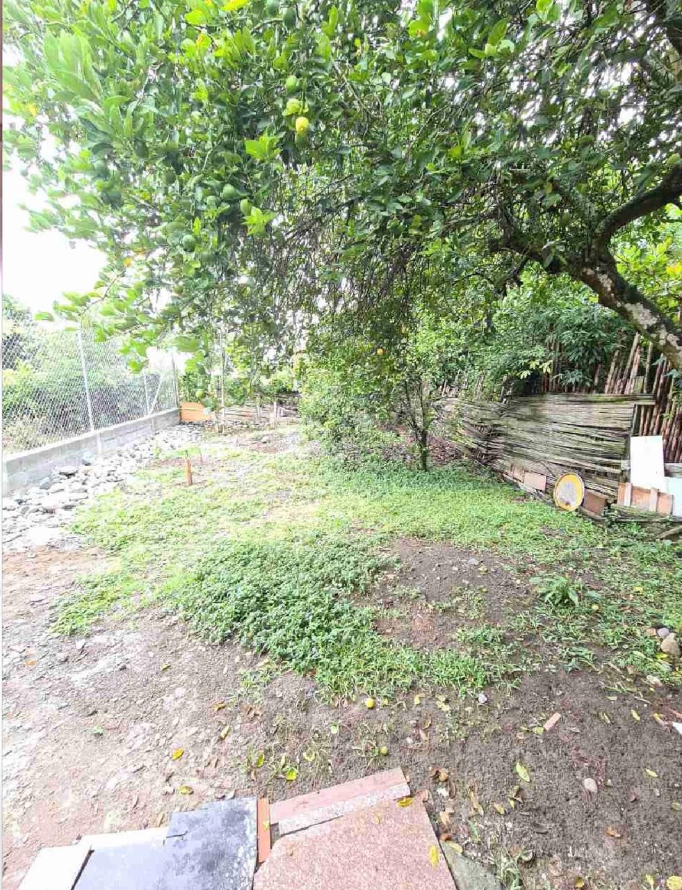 venta de casa en Tuluá Corregimiento de Tres Esquinas - Imagen 13