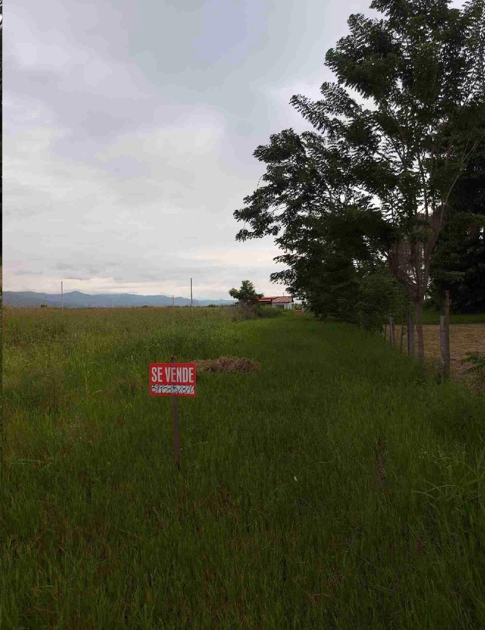 venta de lotes campestres en tulua nariño valle - Imagen 2