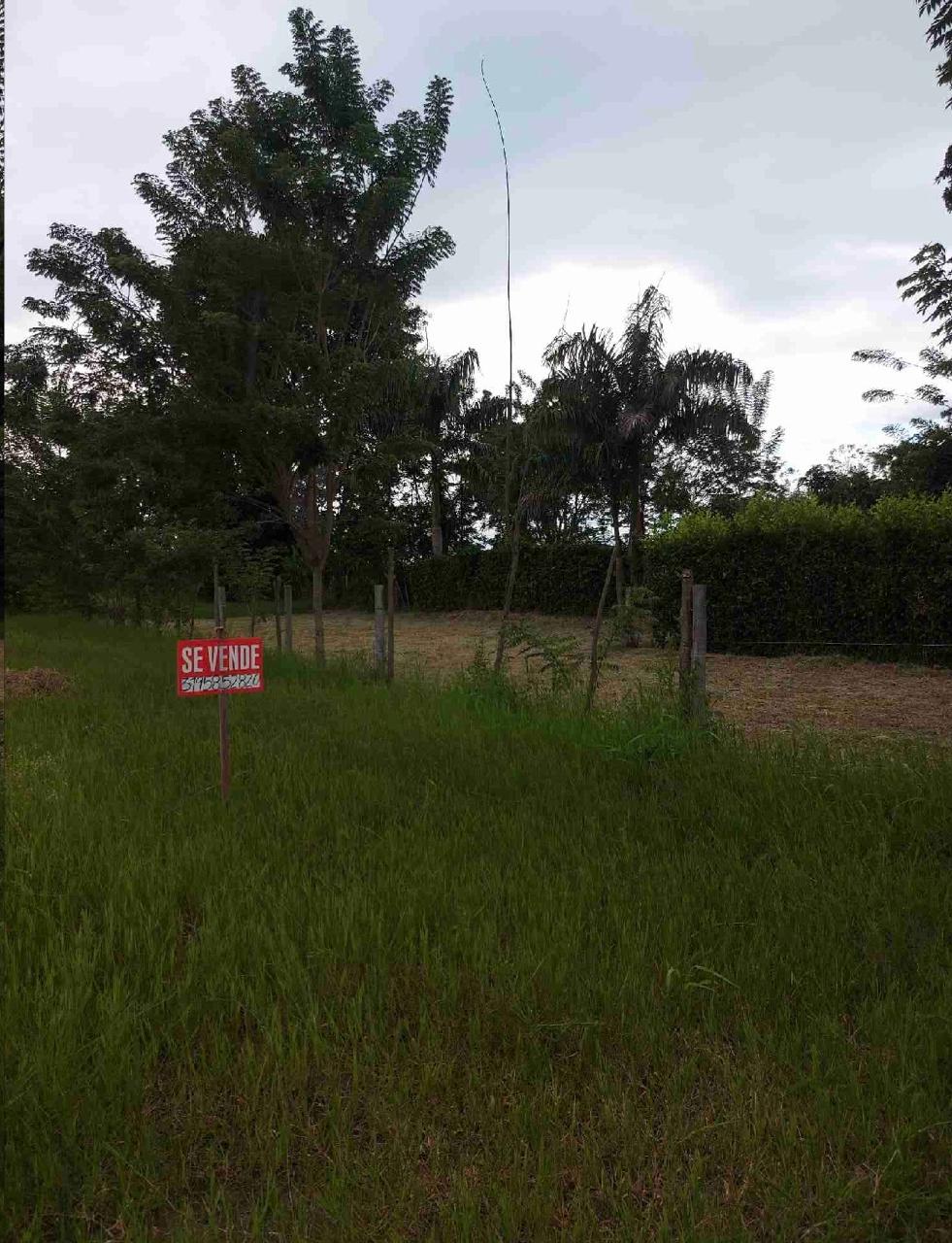 venta de lotes campestres en tulua nariño valle - Imagen 3