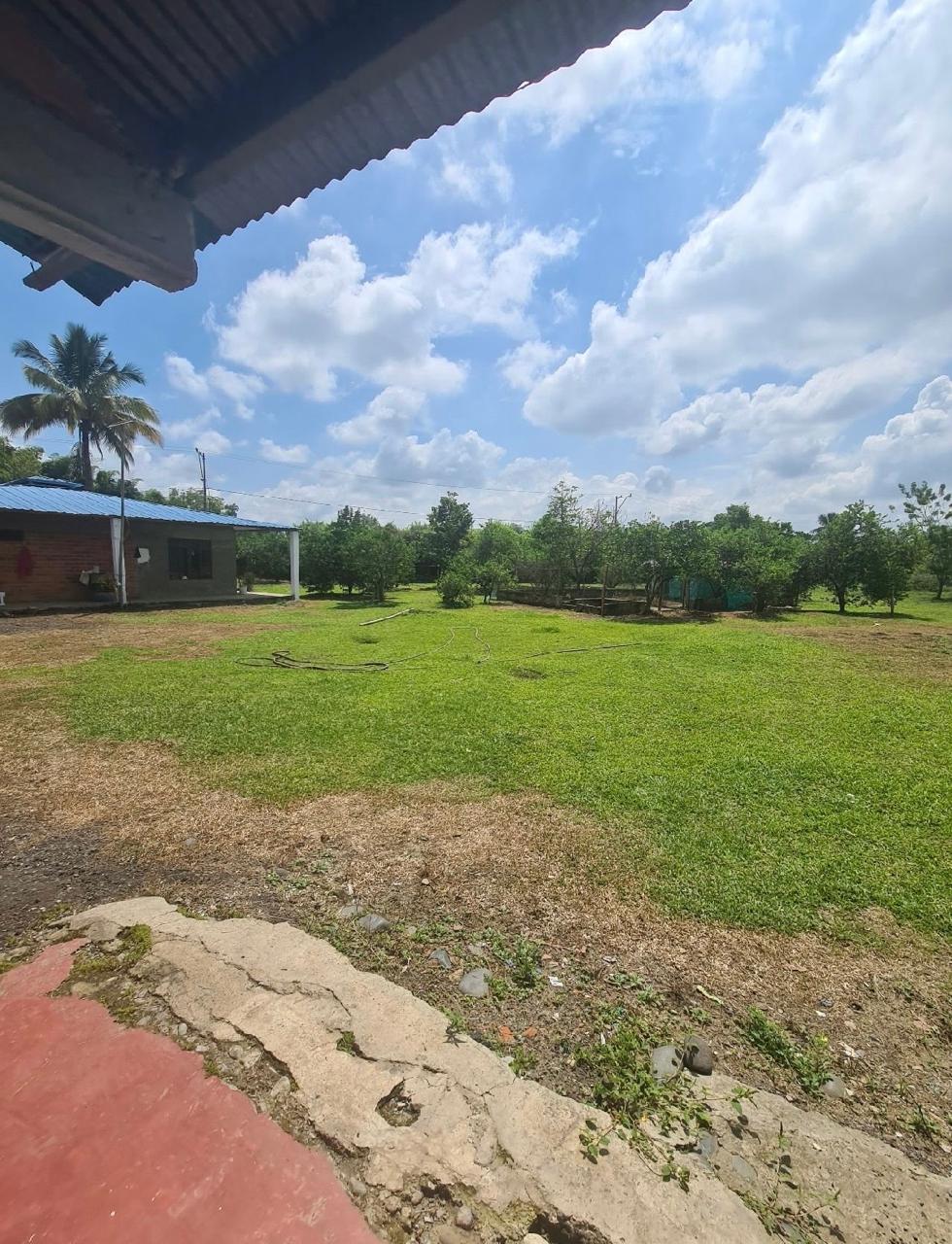 Venta de finca en Andalucia Valle Zabaletas AREA 8.579 Mt² - Imagen 10