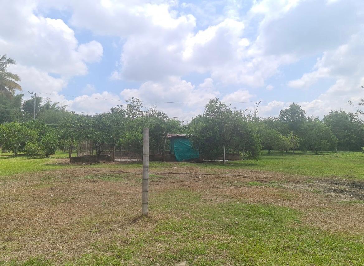 Venta de finca en Andalucia Valle Zabaletas AREA 8.579 Mt² - Imagen 4