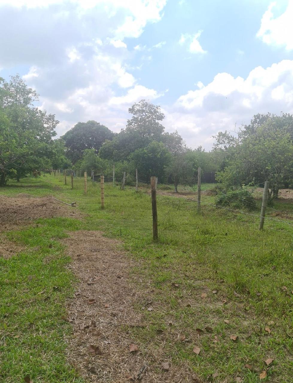 Venta de finca en Andalucia Valle Zabaletas AREA 8.579 Mt² - Imagen 5