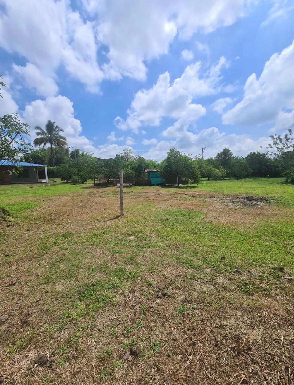 Venta de finca en Andalucia Valle Zabaletas AREA 8.579 Mt² - Imagen 7