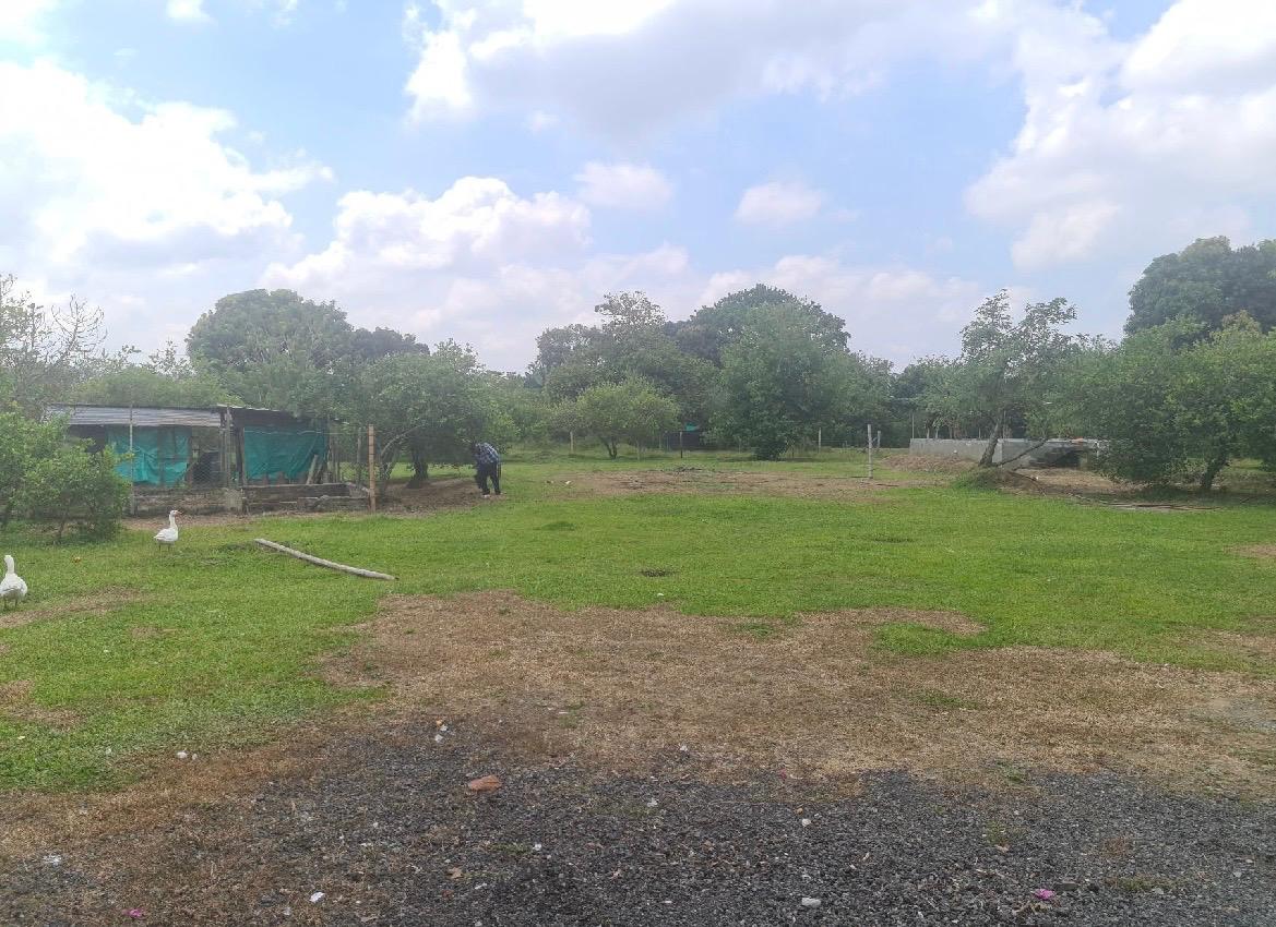 Venta de finca en Andalucia Valle Zabaletas AREA 8.579 Mt² - Imagen 9