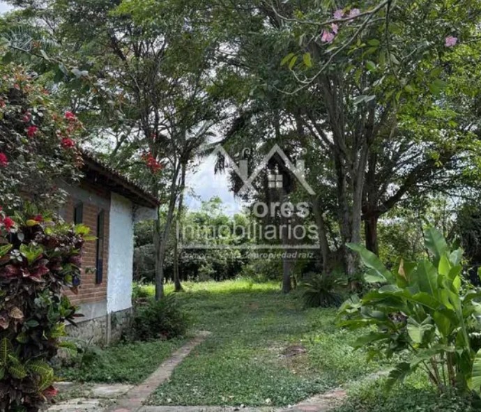 ALQUILER – CASA CAMPESTRE EN TULUÁ, VALLE (AGUA CLARA – CALLEJÓN LOS POMOS) 🌿 - Imagen 14
