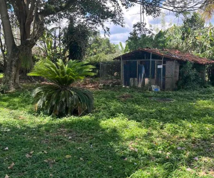 ALQUILER – CASA CAMPESTRE EN TULUÁ, VALLE (AGUA CLARA – CALLEJÓN LOS POMOS) 🌿 - Imagen 4