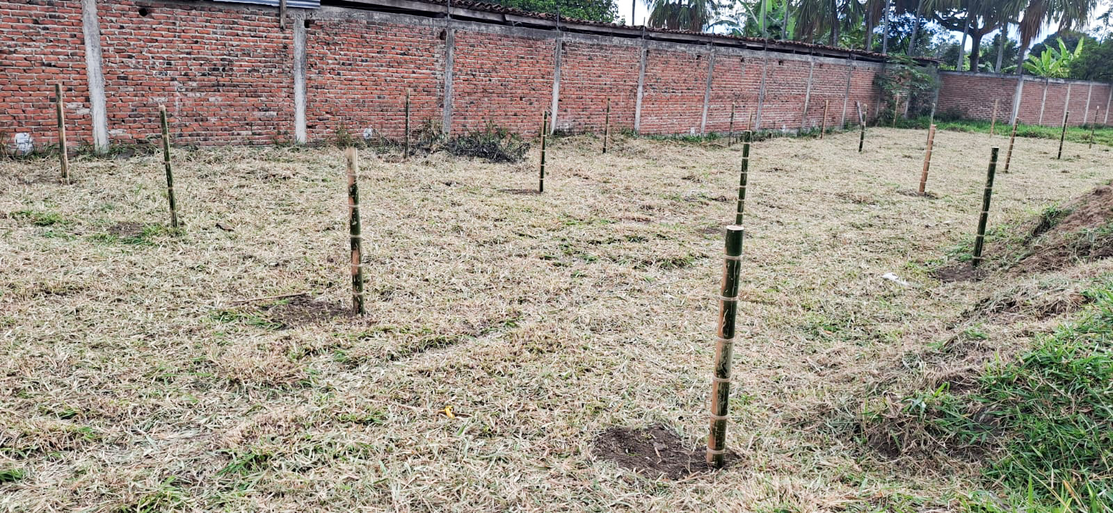 Lote Urbano - Imagen 2