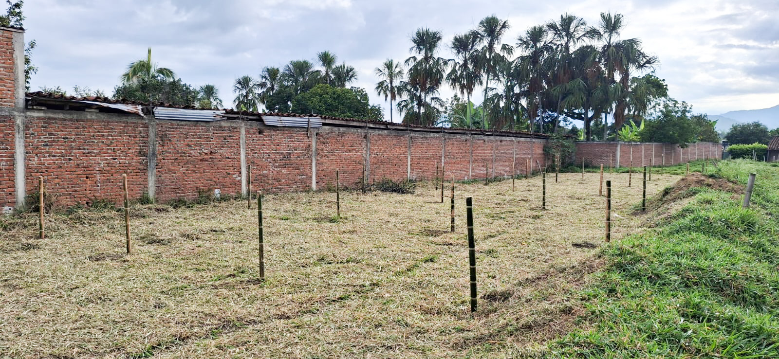 Lote Urbano - Imagen 4