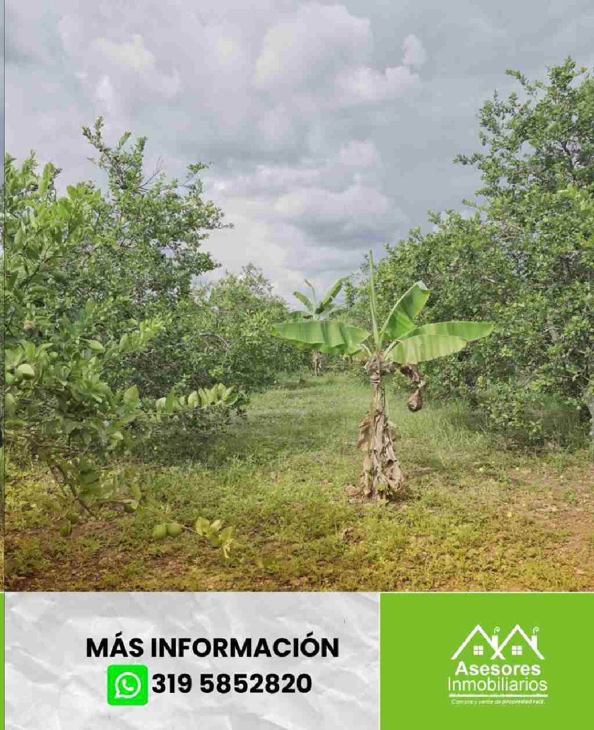 venta de lote campestre en andalucía valle