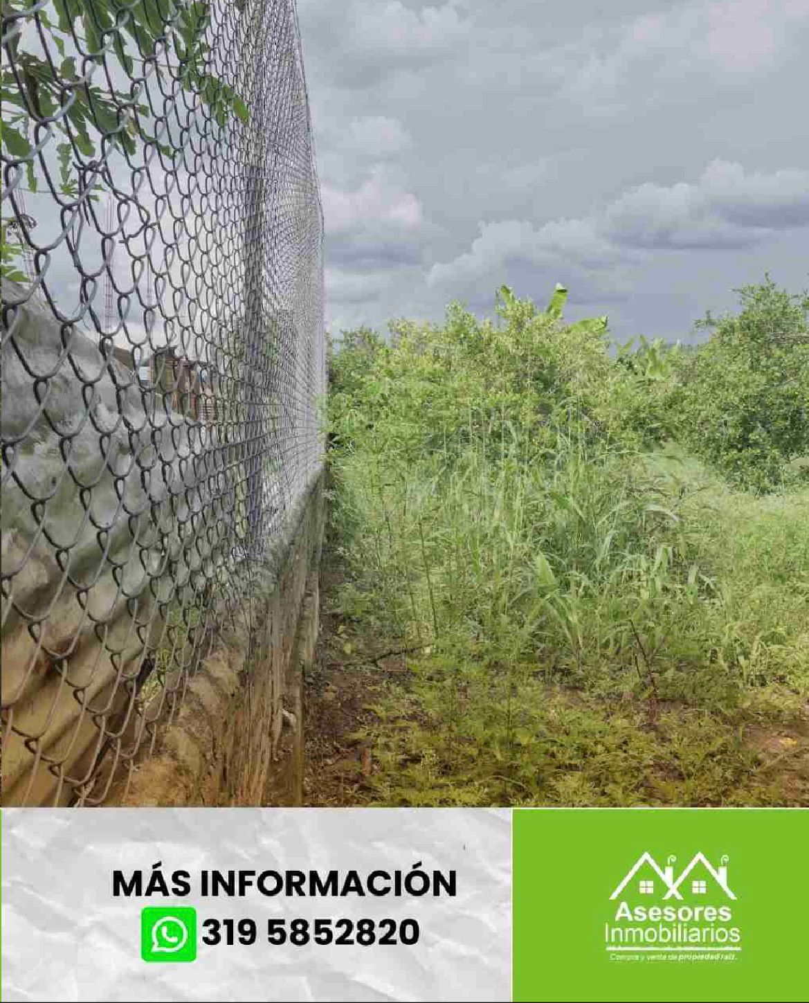 venta de lote campestre en andalucía valle - Imagen 4