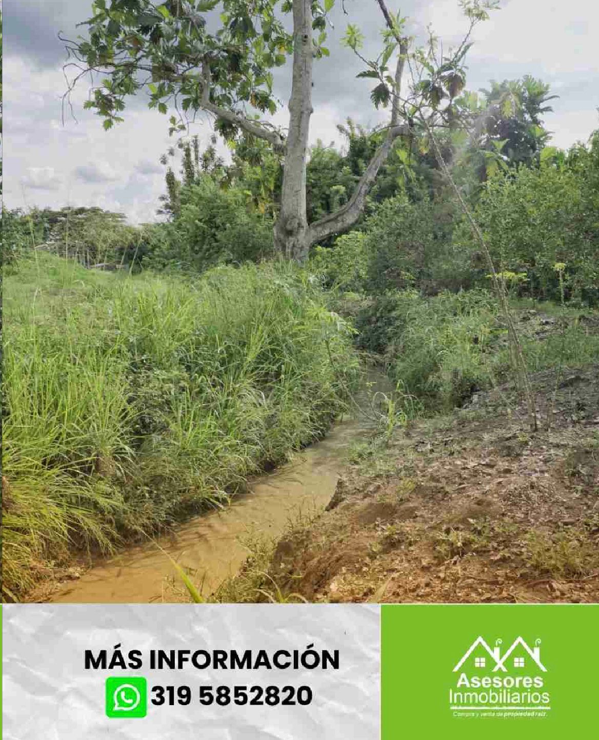 venta de lote campestre en andalucía valle - Imagen 6