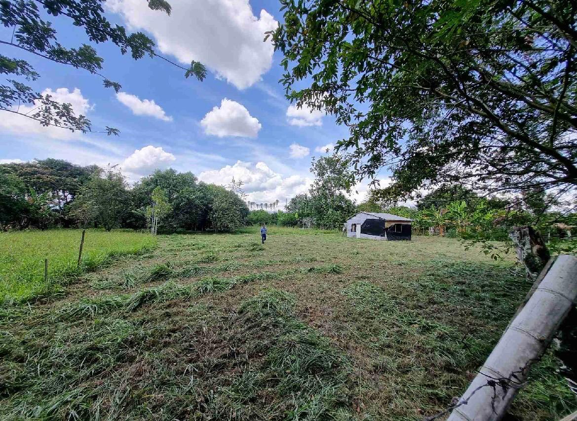 Venta de lote en Andalucía Valle sector de sabaletas