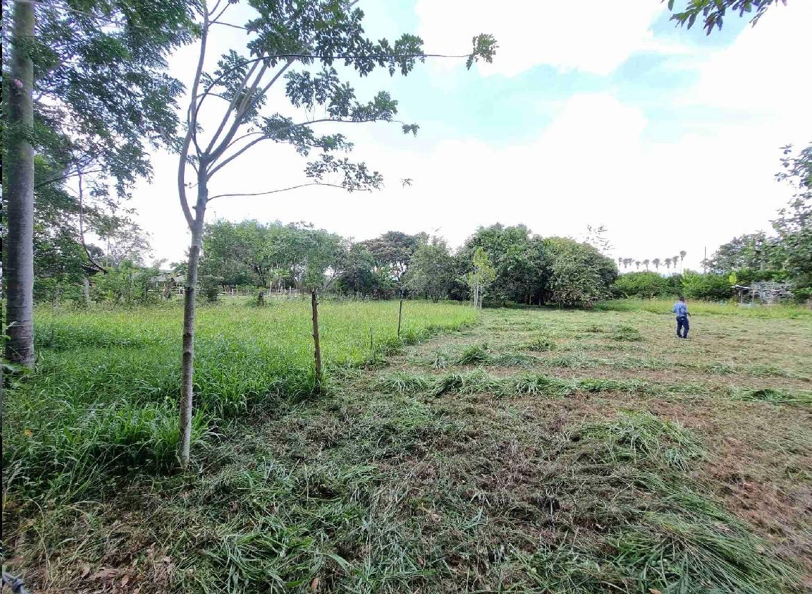 Venta de lote en Andalucía Valle sector de sabaletas - Imagen 2