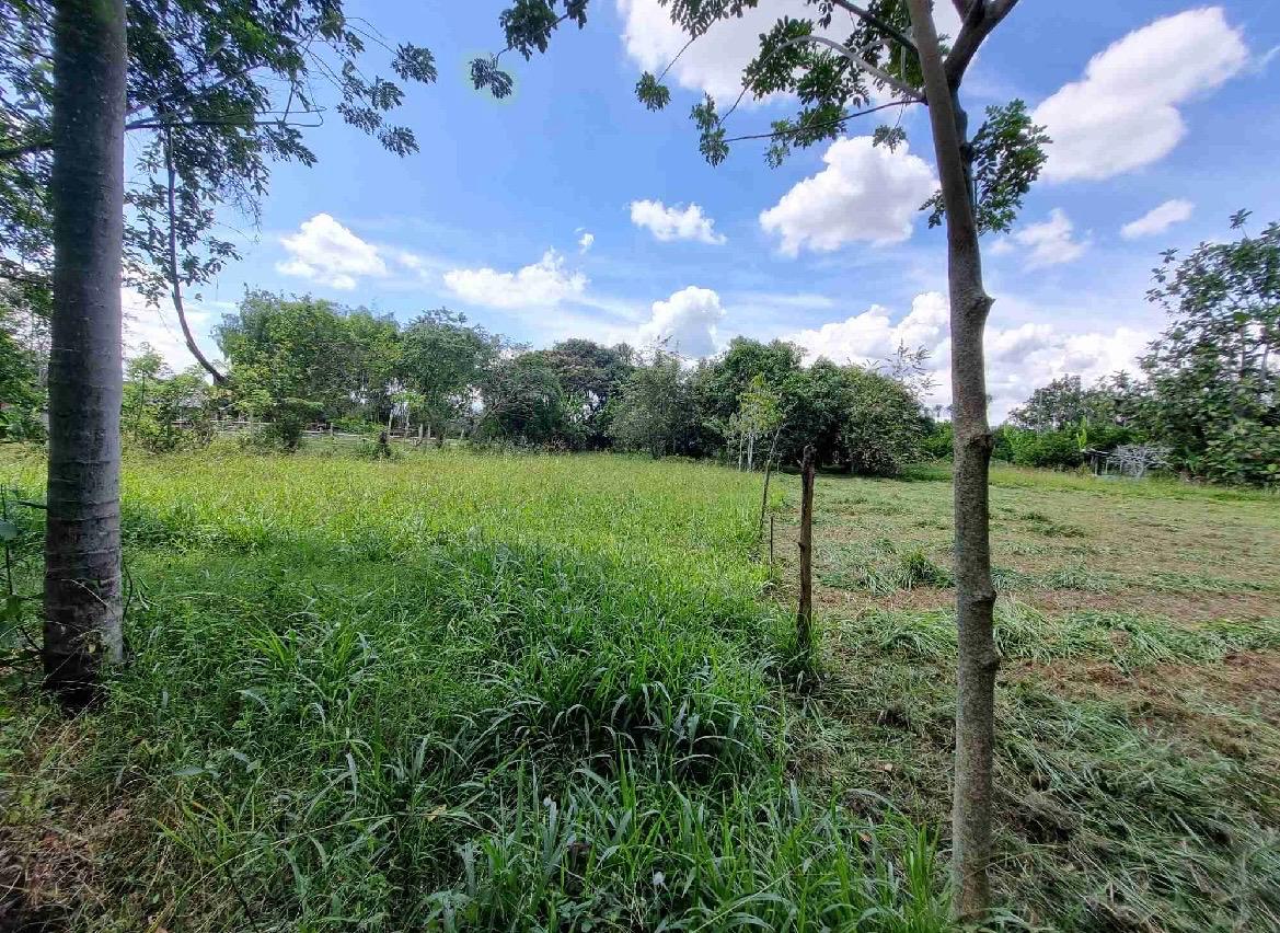 Venta de lote en Andalucía Valle sector de sabaletas - Imagen 3
