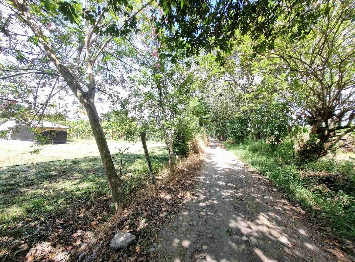Venta de lote en Andalucía Valle sector de sabaletas - Imagen 4