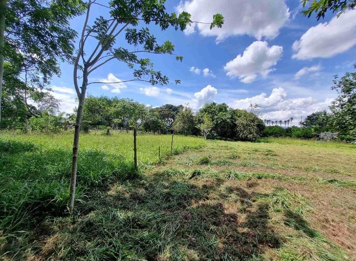 Venta de lote en Andalucía Valle sector de sabaletas - Imagen 5