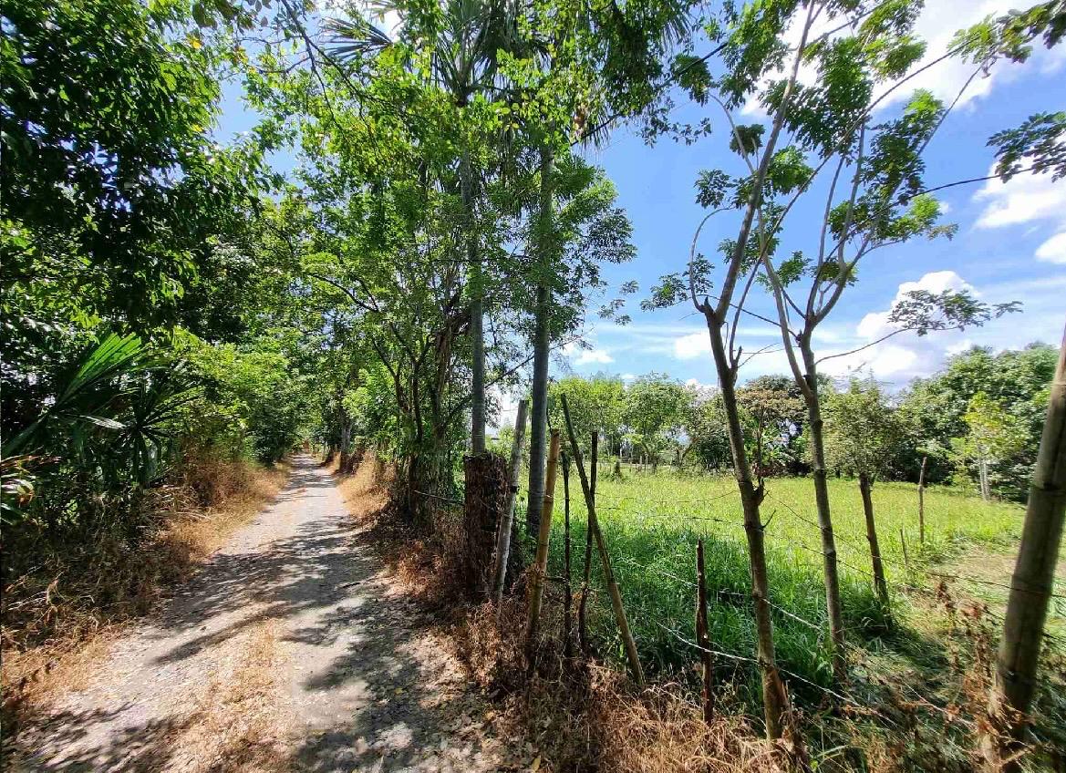 Venta de lote en Andalucía Valle sector de sabaletas - Imagen 7