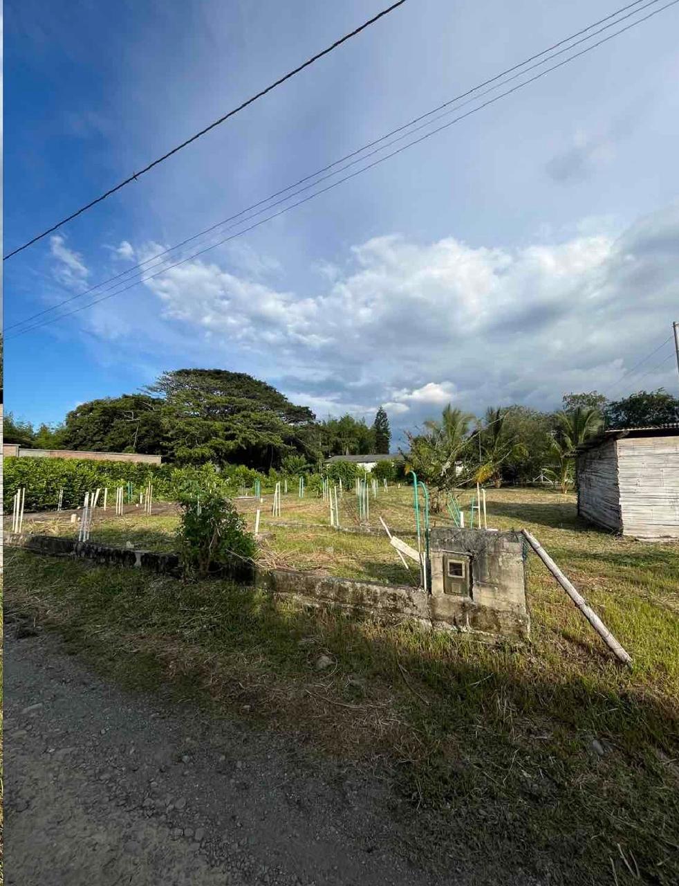 venta de lote campestre en Andalucia valle - Imagen 10