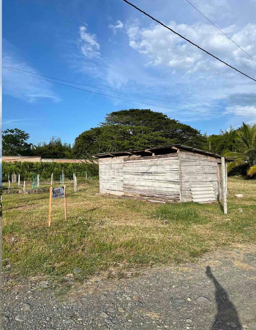 venta de lote campestre en Andalucia valle - Imagen 3