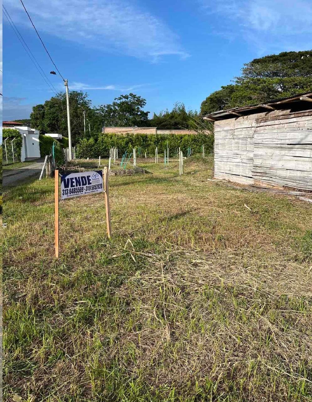 venta de lote campestre en Andalucia valle - Imagen 4
