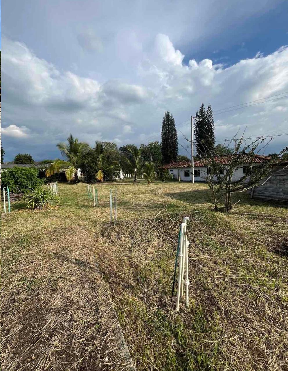 venta de lote campestre en Andalucia valle - Imagen 5