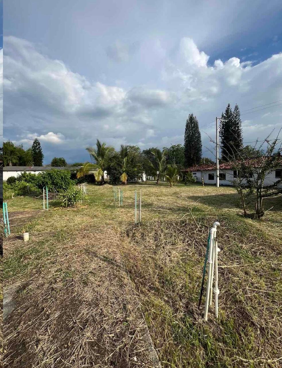 venta de lote campestre en Andalucia valle - Imagen 6