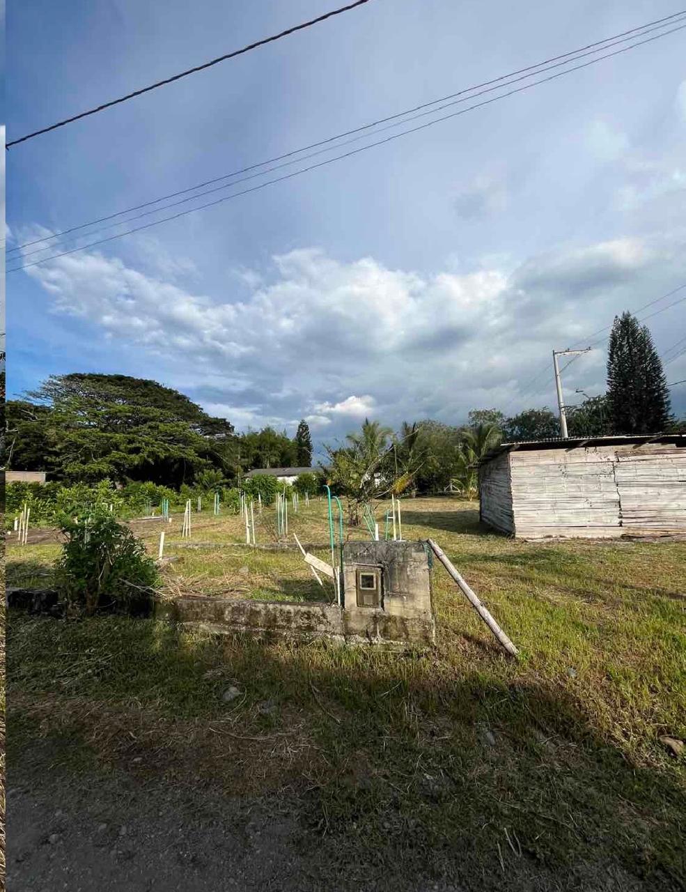 venta de lote campestre en Andalucia valle - Imagen 7