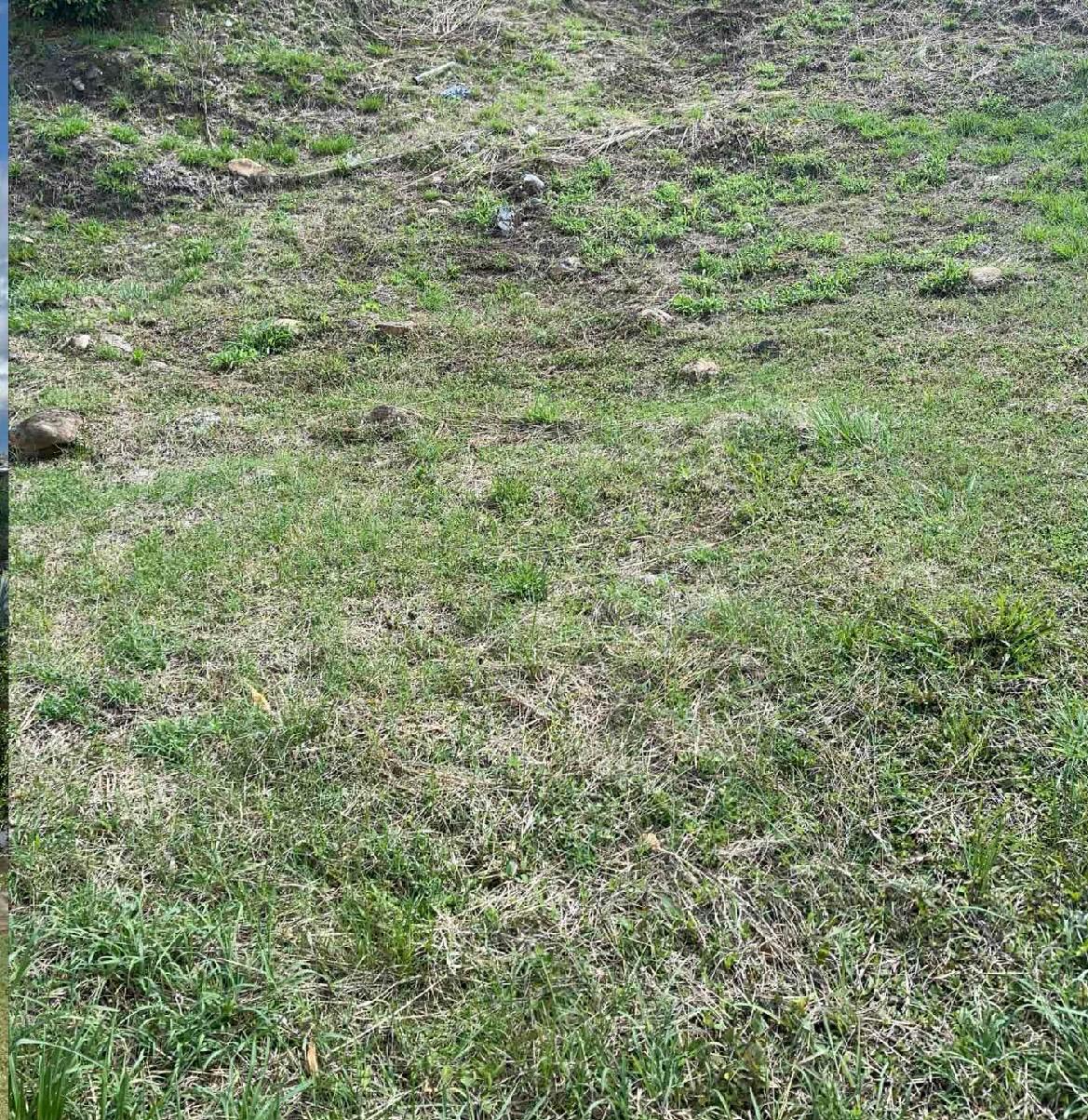 venta de lote en Tuluá Valle san Benito campestre - Imagen 3
