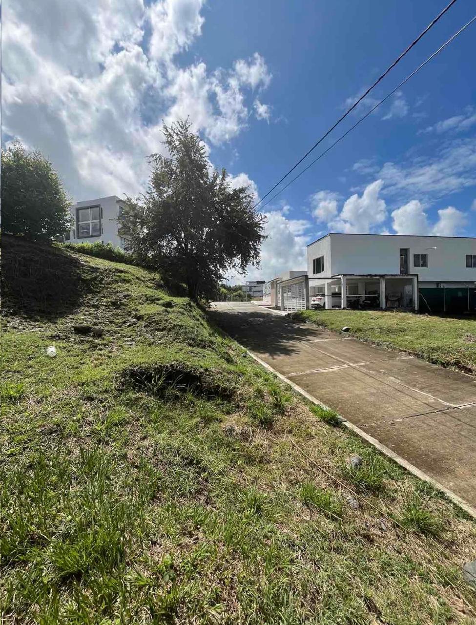venta de lote en Tuluá Valle san Benito campestre - Imagen 5