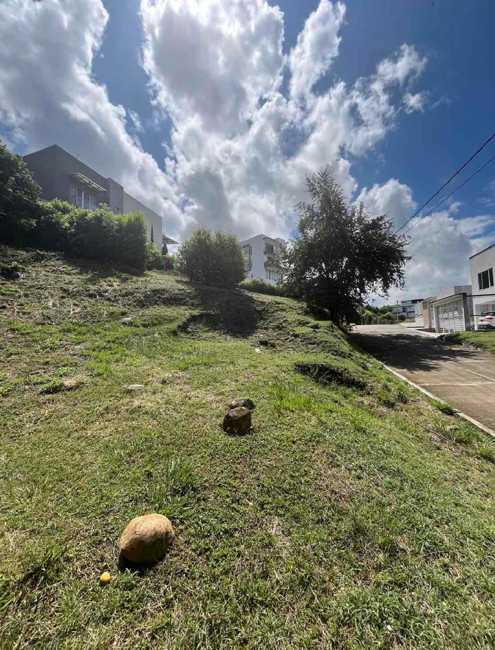 venta de lote en Tuluá Valle san Benito campestre - Imagen 6