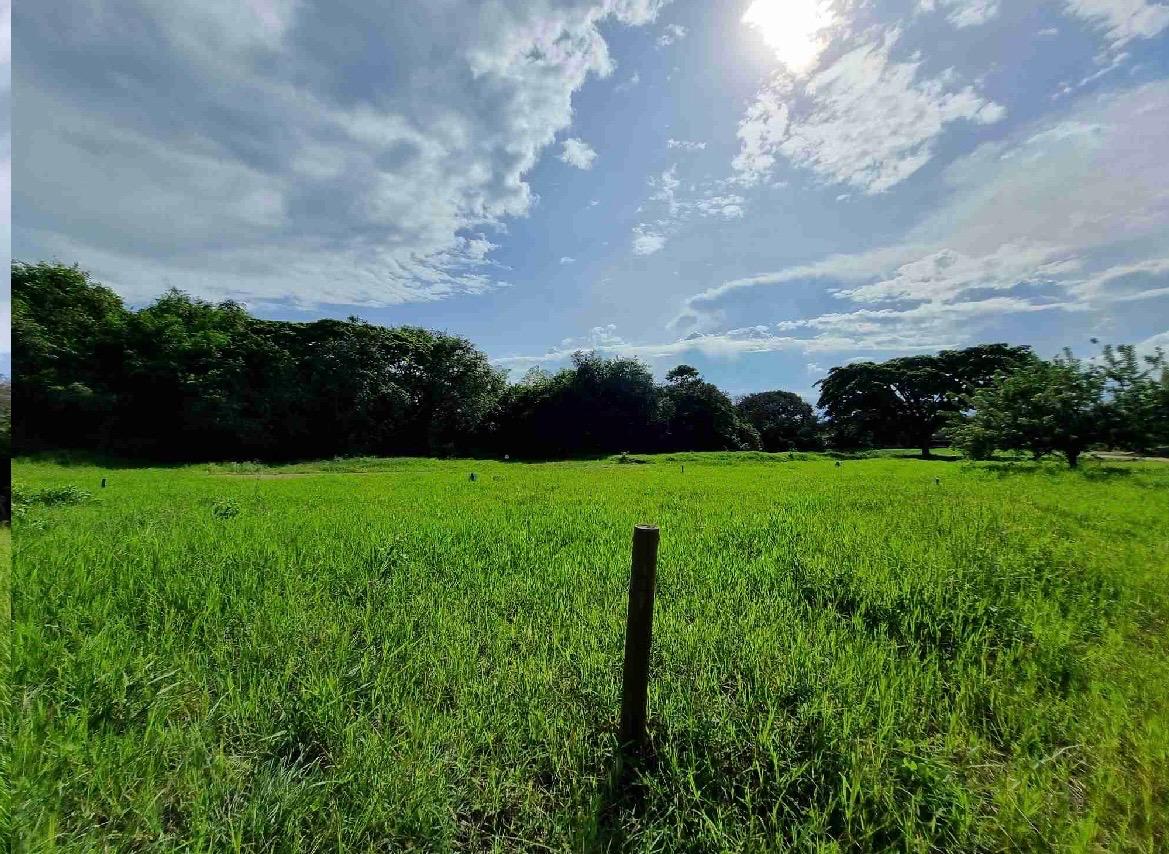 Venta de Lote en Andalucía Valle Urbanización Cerro Dulce