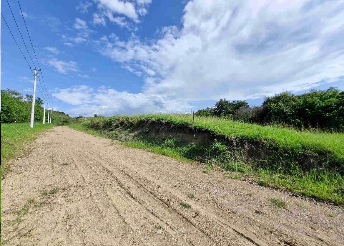 Venta de Lote en Andalucía Valle Urbanización Cerro Dulce - Imagen 13