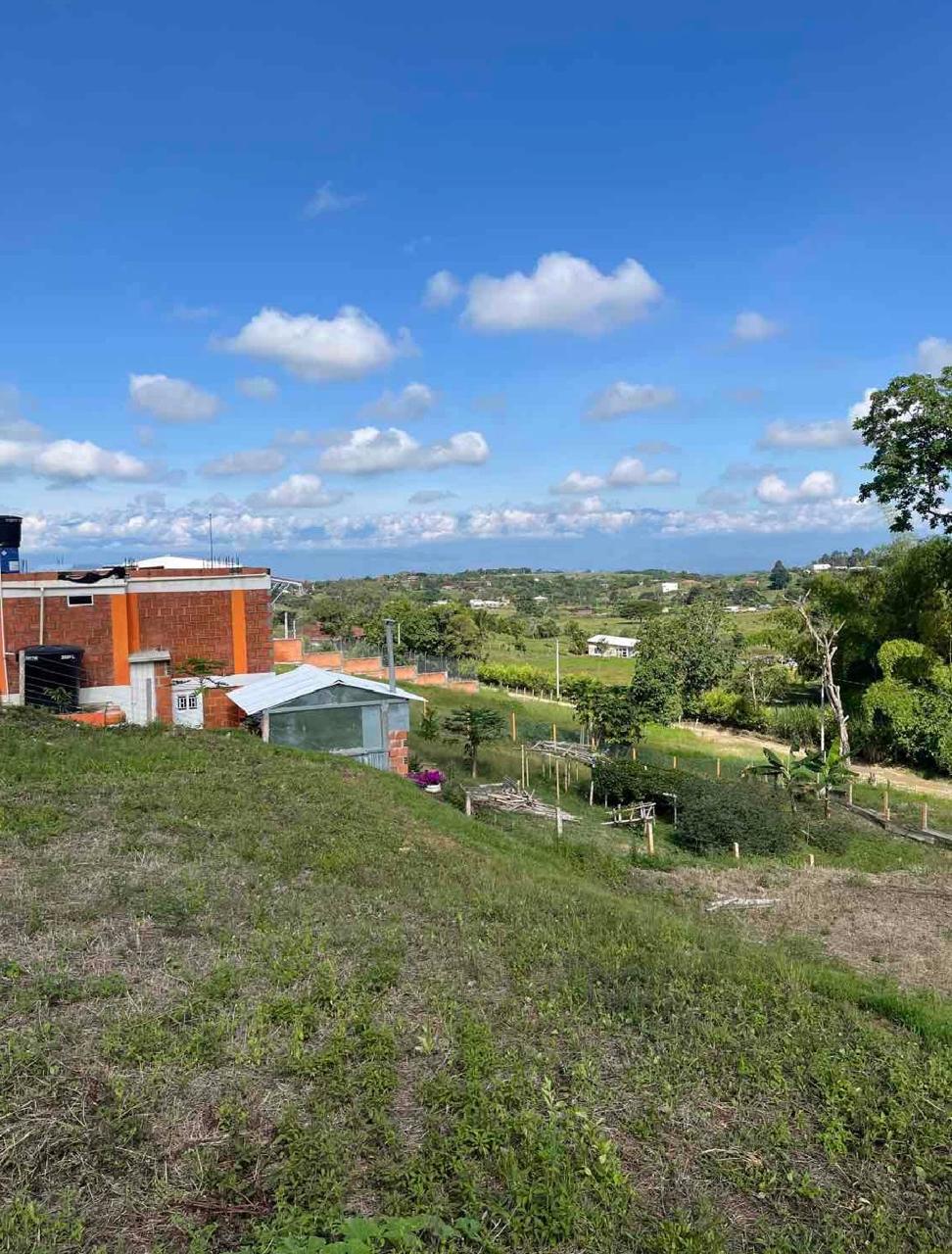 venta de lote campestre en Tuluá la Iberia cuenta con servicios públicos y pavimento