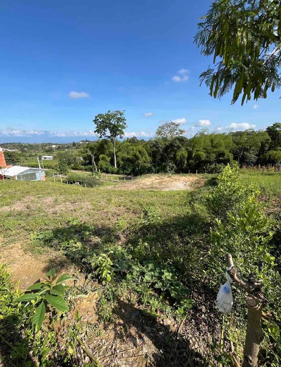 venta de lote campestre en Tuluá la Iberia cuenta con servicios públicos y pavimento - Imagen 11