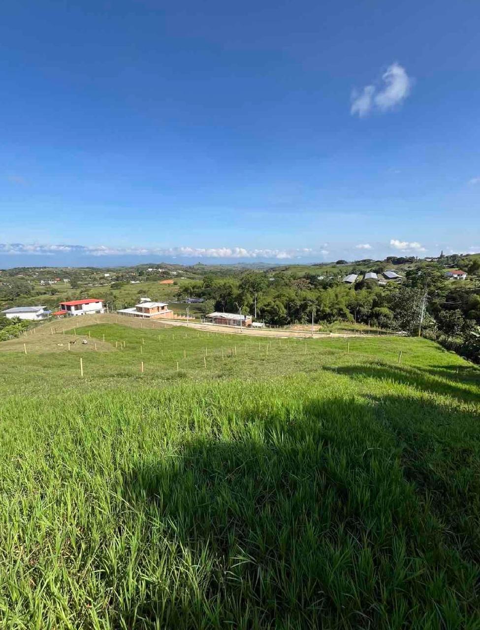 venta de lote campestre en Tuluá la Iberia cuenta con servicios públicos y pavimento - Imagen 12