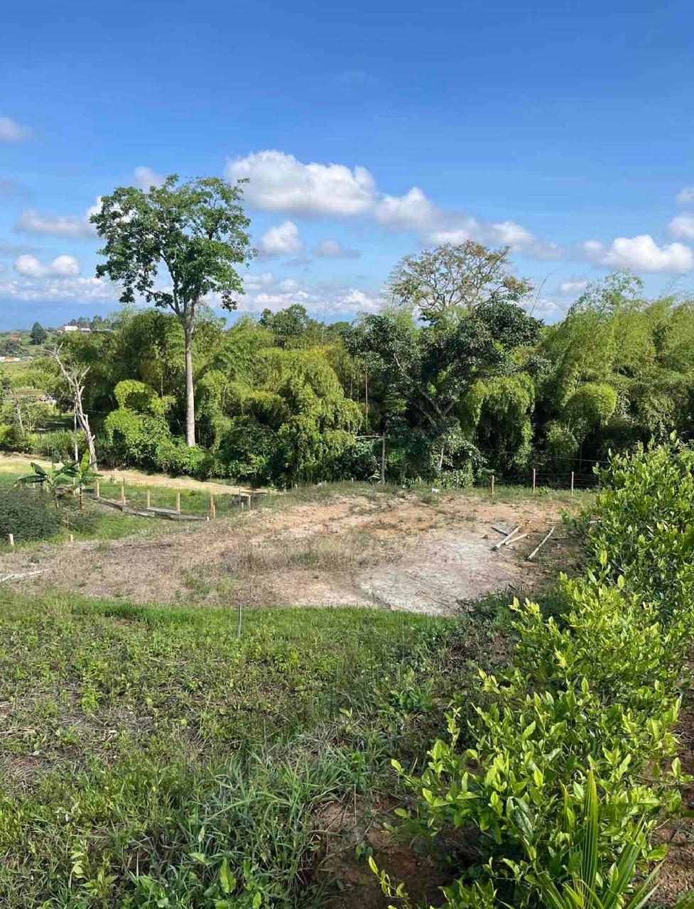 venta de lote campestre en Tuluá la Iberia cuenta con servicios públicos y pavimento - Imagen 2