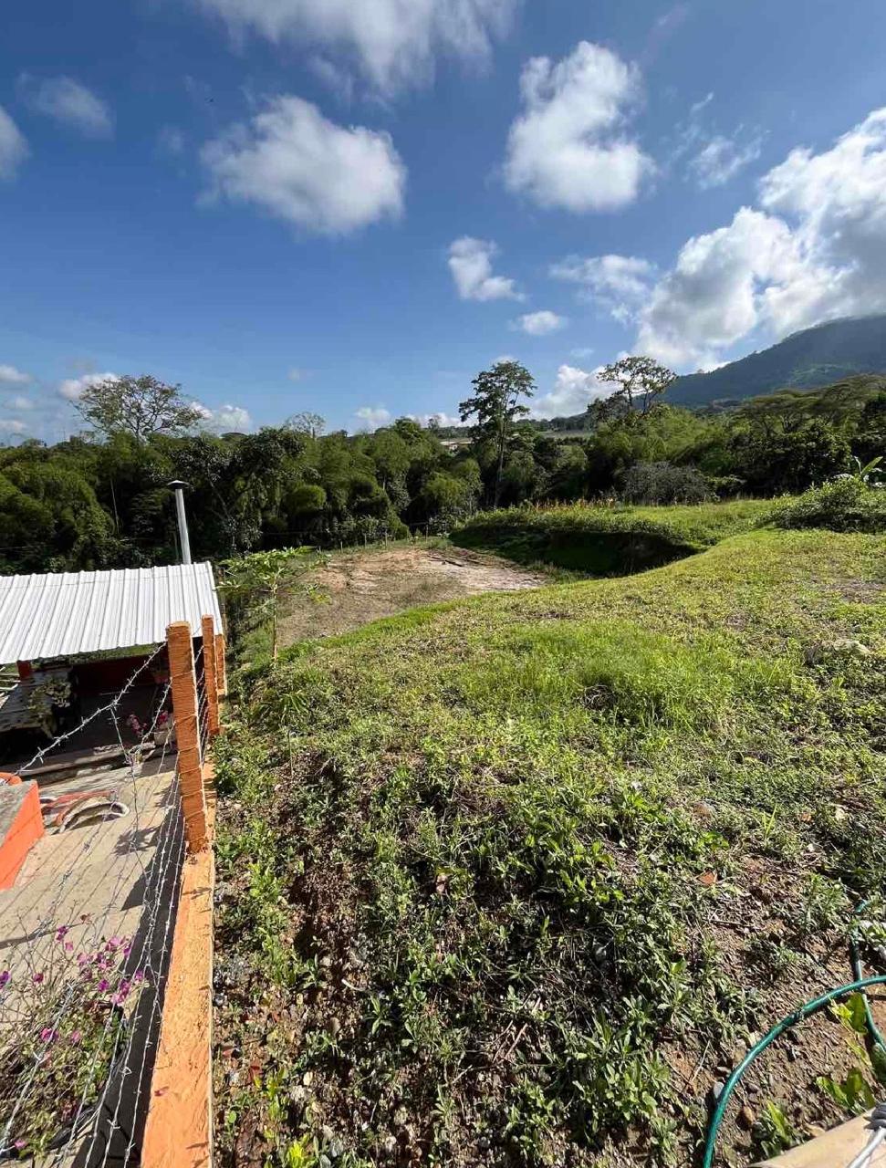 venta de lote campestre en Tuluá la Iberia cuenta con servicios públicos y pavimento - Imagen 5