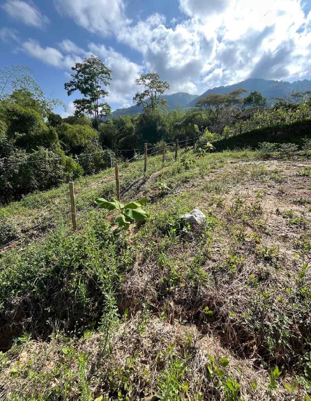 venta de lote campestre en Tuluá la Iberia cuenta con servicios públicos y pavimento - Imagen 6