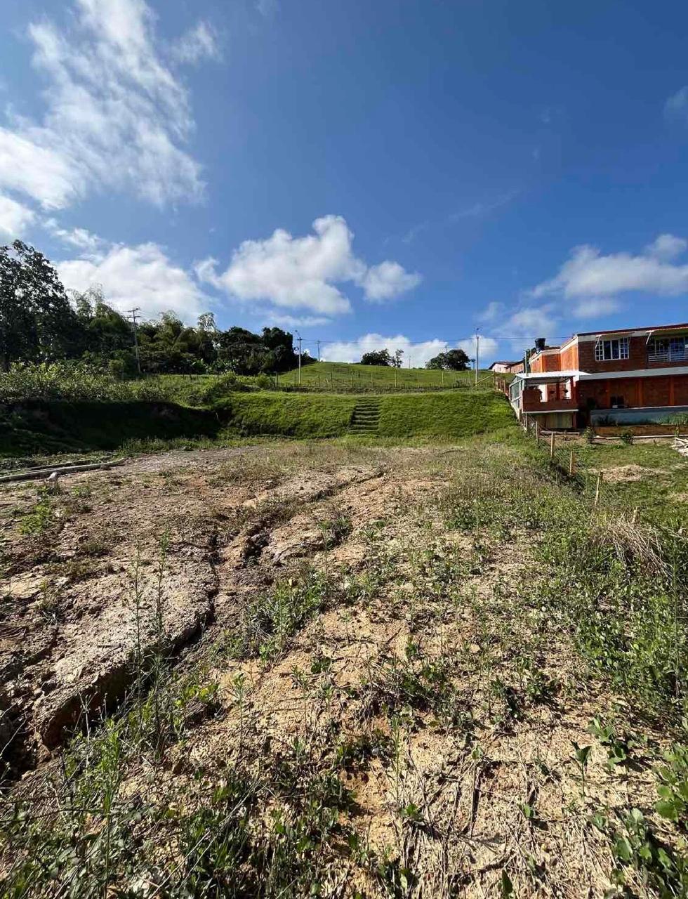 venta de lote campestre en Tuluá la Iberia cuenta con servicios públicos y pavimento - Imagen 7