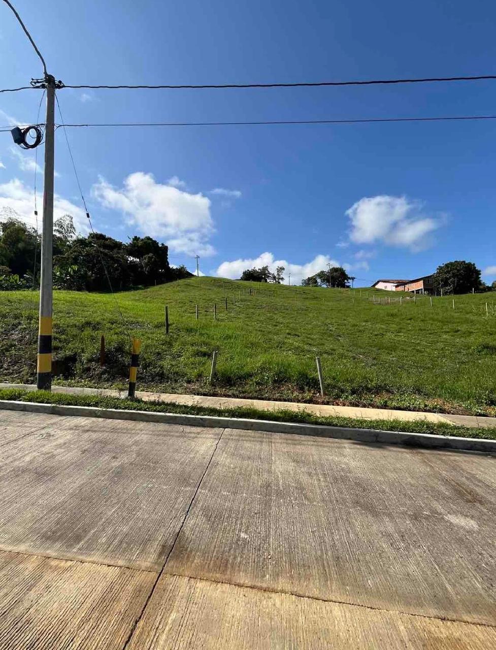 venta de lote campestre en Tuluá la Iberia cuenta con servicios públicos y pavimento - Imagen 8