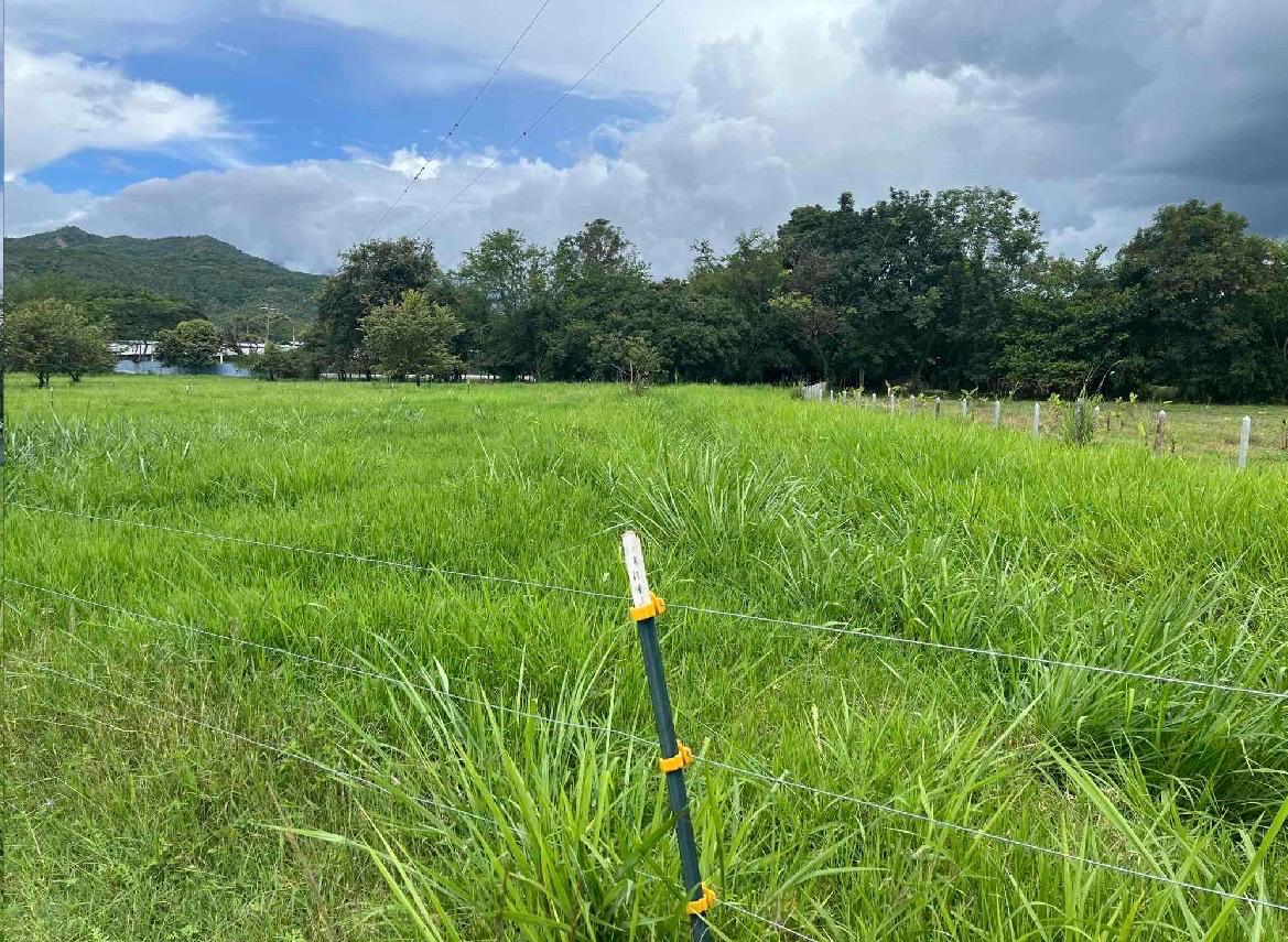 venta de lote en San Pedro valle del cauca corregimiento de los chancos