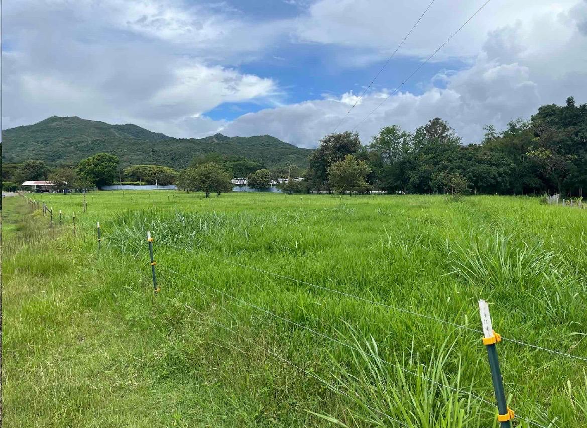 venta de lote en San Pedro valle del cauca corregimiento de los chancos - Imagen 3