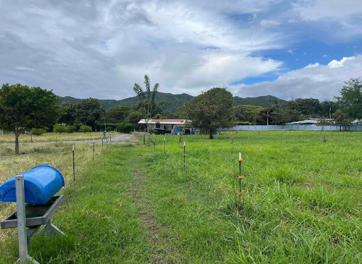venta de lote en San Pedro valle del cauca corregimiento de los chancos - Imagen 4