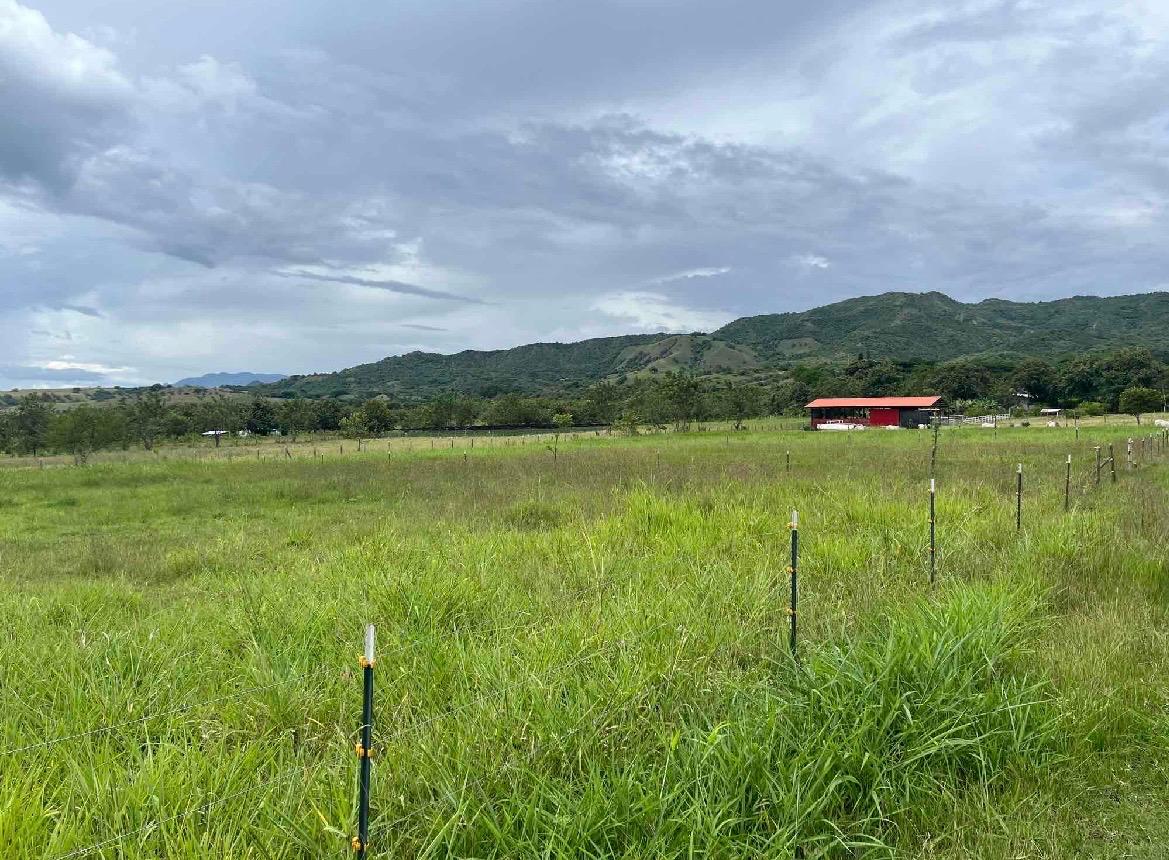 venta de lote en San Pedro valle del cauca corregimiento de los chancos - Imagen 5