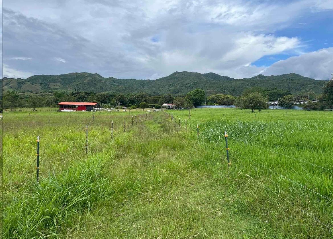 venta de lote en San Pedro valle del cauca corregimiento de los chancos - Imagen 6