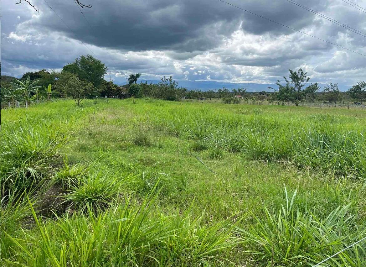 venta de lote en San Pedro valle del cauca corregimiento de los chancos - Imagen 12