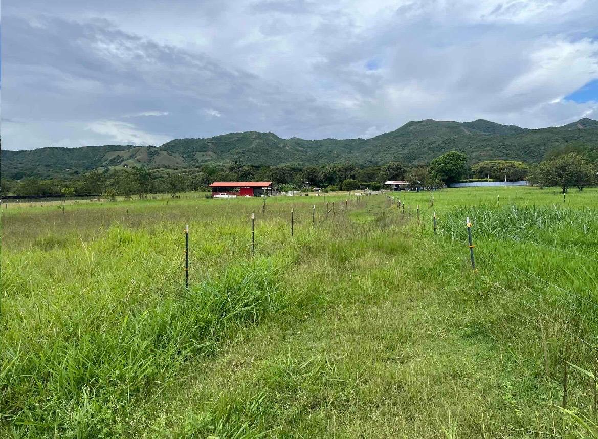 venta de lote en San Pedro valle del cauca corregimiento de los chancos - Imagen 7