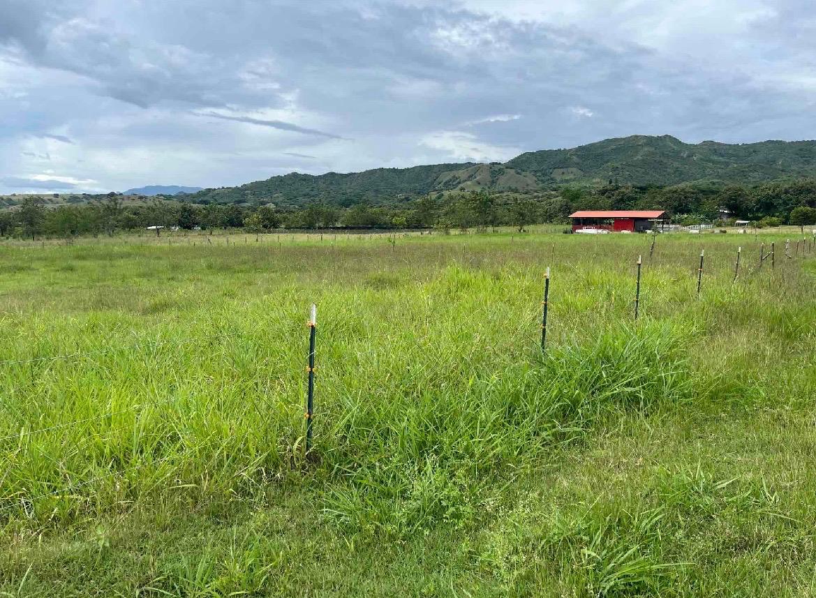 venta de lote en San Pedro valle del cauca corregimiento de los chancos - Imagen 8