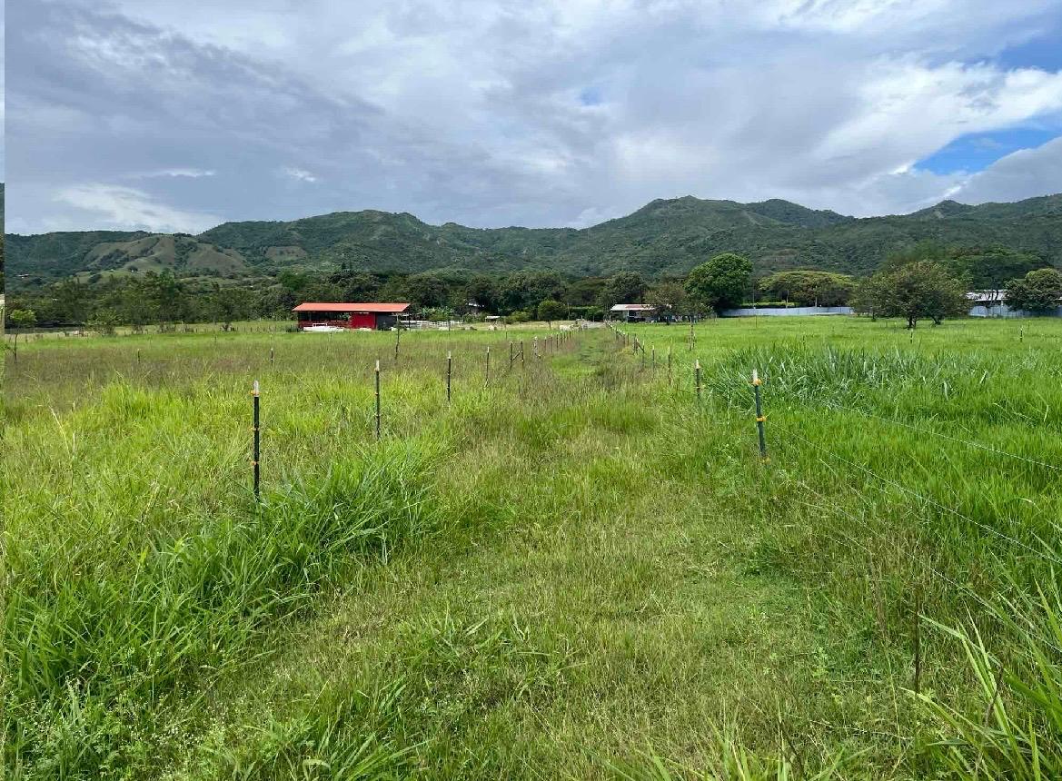 venta de lote en San Pedro valle del cauca corregimiento de los chancos - Imagen 9