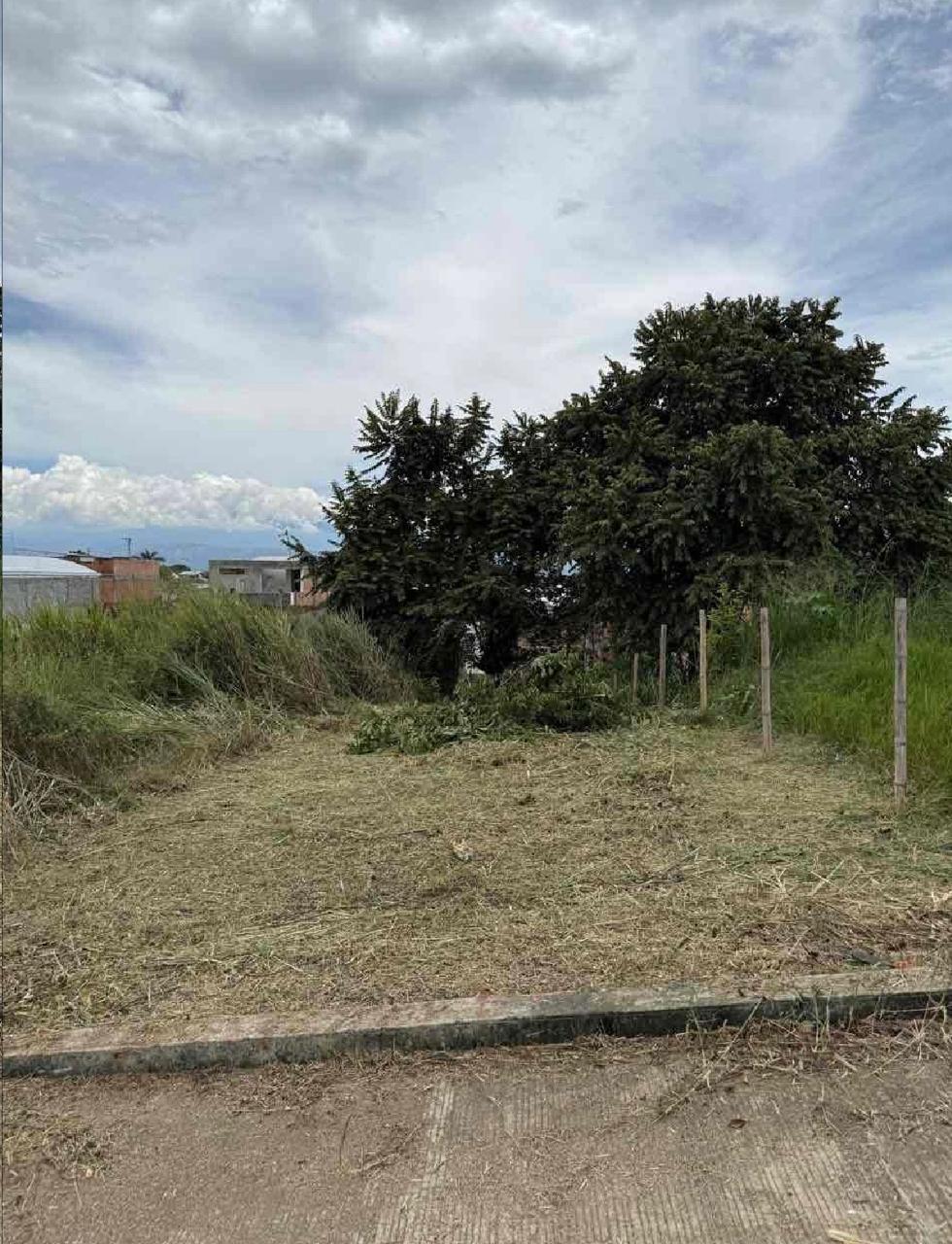 venta de lote en Tuluá valle barrio urbanización Palermo